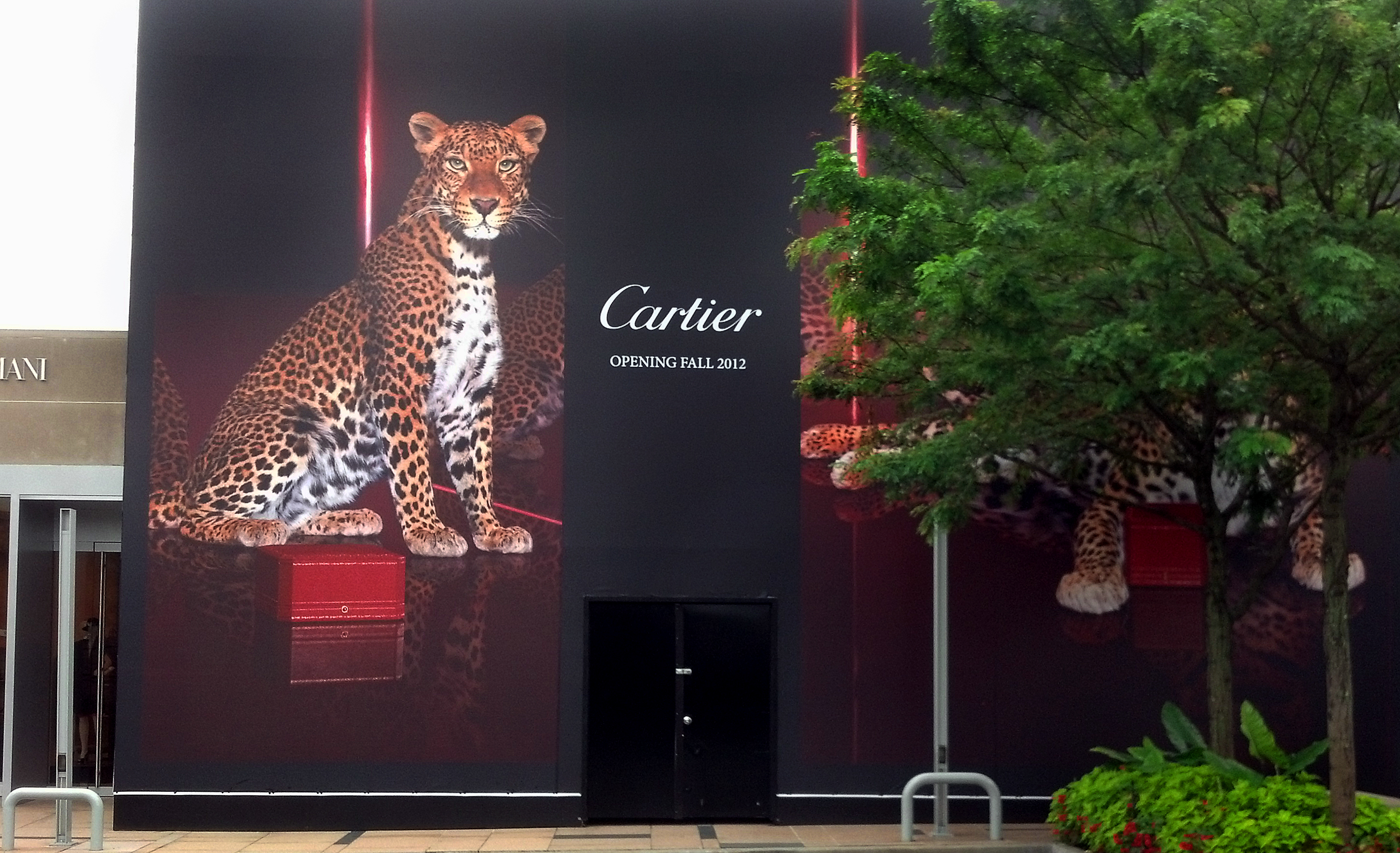 Duggal + Cartier + Americana Mall 