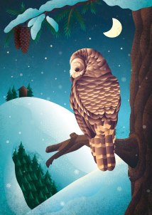 "Silent Night Owl" ©Julia Kerschbaumer